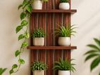 Chemax Wall Decorations