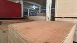 Chemical Boron Treated Plywood Board 8' x 4' 6mm