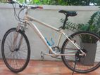 Chevaux Alloy Mountain Bike