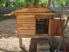 Chicken Cage