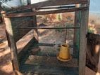 Chicken Cage (used)