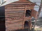 Chicken Cage