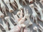 Chicken Feet Dog Food