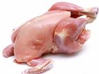 Chicken Meat