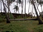 Chilaw : 10 Acres Coconut Estate for sale at Kokkawila