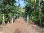 Chilaw 2 Arces Land for Sale