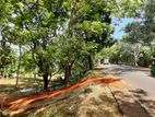 Chilaw - Colombo Main Road Facing Land for sale Deduruoya