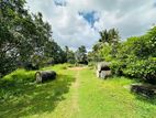 Chilaw Land for Sale