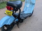 Choi Nori 48 Cc 2026