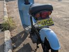 Suzuki Choi Nori 48cc 2026