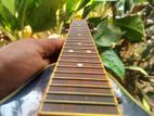 Chord Semi Acoustic Mandolin