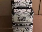 Christion Dior Luggage Bags