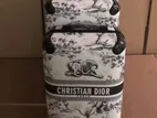 Christion Dior Luggage Bags