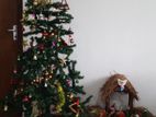 Christmas tree and Gawalena Accessories