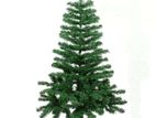 Christmas tree Bushy 7fts