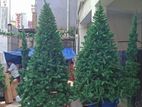 Christmas Trees