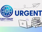 CIM Level 7 Assignment Help from Qualified Experts