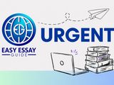 CIM Level 7 Assignment Help from Qualified Experts
