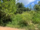 Cinnamon Land for Sale Kamburupitiya