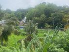 Cinnamon Land For Sale Hakmana