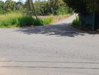 Cinnamon Land for sale in Kekanadura matara