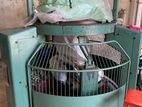 Circular Knitting Machine