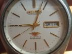 Citizen Eagle 21 Jewels Watch