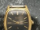 Citizen Watch Men