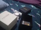 Citizen Watch (Used)