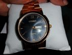 citizen watch