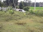 City Limit Land for Sale Pannipitiya