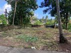 City Limit Land for Sale Pannipitiya