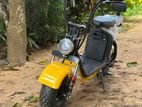 Citycoco E Bike 2025