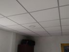 Ceiling Work
