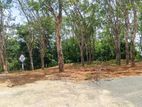 Clam lands plots in near Ahangama
