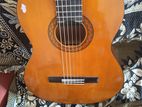 Classic Guitar