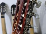 Classic Guitar