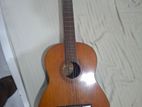 Classic Guitar Yamaha G60A