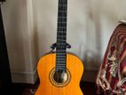 Classical Guitar