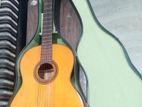 Classical Guitar