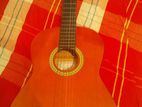 Classical Guitar