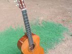 Classical Guitar