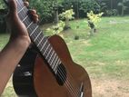 Classical Guitar
