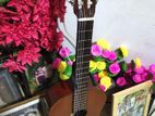Box Guitar