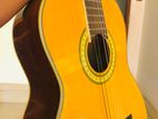 Classical Guitar