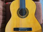 Classical Guitar