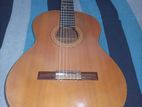 Classical Guitar