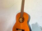 Classical Guitar - [Yamaha G70D]