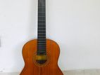 Classical Guitar