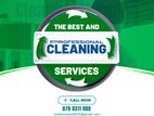 Cleaning Service - MS (pvt) ltd